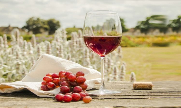 Facts-About-Wine