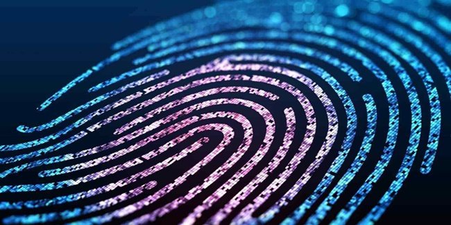fingerprint facts 1